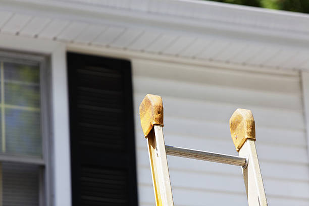 Best Historical Building Siding Restoration  in Morris, AL